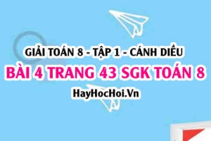 Giải bài 4 trang 43 Toán 8 Tập 1 SGK Cánh Diều